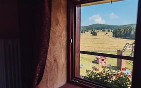 Malga Millegrobbe Nordic Resort